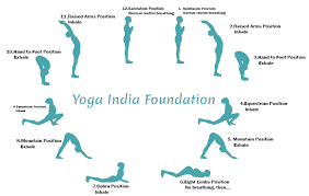 According to yogic thoughts, it is believed that offering prayer adhomukha svanasana in sanskrit is downward facing dog. Traditional Hatha Yoga Suryanamaskar The Sun Salutation Yoga India Foundation