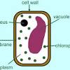 Maybe you would like to learn more about one of these? 1