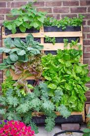 What Can I Grow In A Vertical Pallet Garden 1001 Pallets Herb Garden Pallet Pallet Garden Walls Vertical Pallet Garden