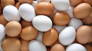 Telur merupakan salah satu bahan makanan yang selalu dibutuhkan oleh masyarakat setiap harinya. Mana Yang Lebih Baik Telur Ayam Kampung Atau Telur Ayam Negeri Sriwijaya Post