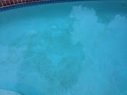 The pool plaster mix elements include, white portland cement along with aggregates such as limestone, quartz sand, marble dust, etc., in the ratio 1:2. What Is Black Algae Rps