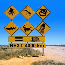 Australian Road Sign On Second Thought Maybe Winter Wasn T All That Bad Lol Australian Road Signs Australia Funny Meanwhile In Australia