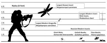 Estas preguntas nos servirán como guía: Si Hubiera Un Bote Sobre Una Bascula Con Un Insecto Dentro En El Pesado Como Para Que En La Bascula Se Note Y El Insecto Echara A Volar Seria Menor El Peso