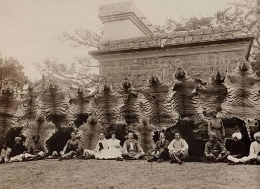 Shikar in British India: An Elaborate Colonial System