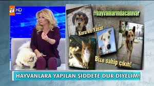 muge anli bu sefer de hayvan haklarini gundeme tasidi sayfa 2 4