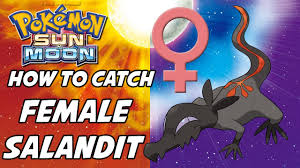 How to Catch Female Salandit in Pokemon Sun and Moon! - YouTube