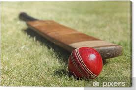 Das landgericht habe dies zurecht als mord aus niederen beweggründen gewertet. Leinwandbild Cricket Schlager Und Ball Pixers Wir Leben Um Zu Verandern