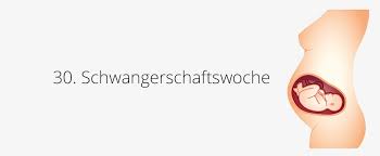 Dein baby bekommt ab der 30. 30 Ssw Schwangerschaftswoche Baby Gewicht Grosse In 30 Ssw