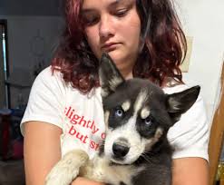 ISABELLE WHITE CALF Missing from: Rapid City, South Dakota Last contact:  January 9, 2024 Race: Native American Age: 17 Eyes: Brown