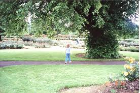 June 2000 In Tralee My Granddaughter Julia In The Famous Rose Garden A Rose Herself With Images Time In Ireland European Designs Tralee