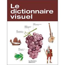 Dictionnaire Visuel Cartonne Collectif Achat Livre Fnac