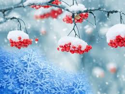 We did not find results for: Apa Yang Salji Untuk Banyak Salji Putih Untuk Apa Yang Bermimpi