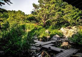 Japanischer Garten Im Westpak Munchens Japanese Water Gardens Japanese Garden Water Garden