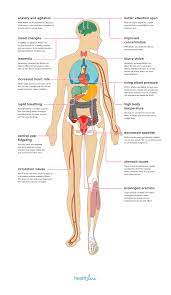 Effects Of Ritalin On The Body