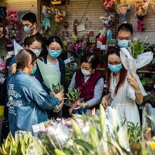 Once a model city, hong kong grapples with a new coronavirus wave. Hong Kong S Lesson Defeating Covid 19 Demands Persistence Stat