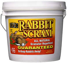 There are three types of these products: The 6 Best Rabbit Repellents 8 Non Chemical Alternatives 2021