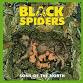Black Spiders event image