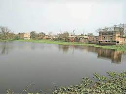 अधिकारी पोखर के चारों किनारे पर लगातार अतिक्रमण करते हुए लोगों ने बना लिए पक्के मकान, सीओ ने सभी को भेजा नोटिस | Continuing trespassing on all four sides of Officer Pokhar, people built pucca houses, CO sent notice to everyone - Dainik Bhaskar