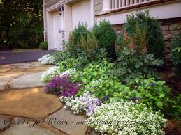 Summerset Gardens Tumblr Blog A Small Front Foundation Planting Design Idea I Foundation Planting Plants Garden Design
