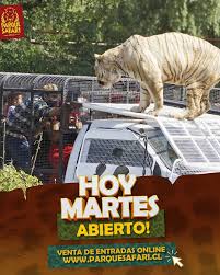 We did not find results for: Parque Safari Photos Facebook