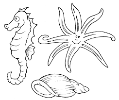 Cavalluccio Marino Stella Marina E Conchiglia Disegni Da Colorare Disegni Da Colorare Disegni Di Pesci Disegni