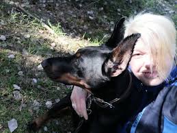 Czy to normalne, że pies przywiązuje się bardziej do jednego właściciela?