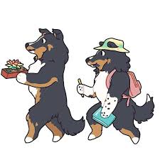 This Sheltie Design Features A Cute Cartoon Shetland Sheepdog Dog In A Cute And Funny Drawing Illustration Surprise In 2020 Funny Drawings Shetland Sheepdog Sheepdog Shetland sheepdogs group is for people who like shetland sheepdogs or draw them. pinterest