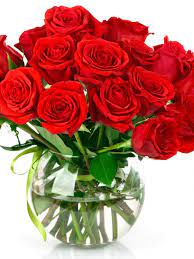 Pour un mariage, optez pour un bouquet de roses blanches. Bouquet Red Roses Pot Water Flowers Wallpaper 48960 Telecharger Photo Fleur Rouge 768x1024 Download Hd Wallpaper Wallpapertip