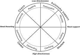 Psychological research refers to research that psychologists conduct for systematic study and for analysis of the experiences and behaviours of individuals or groups. Basic Psychological Need Theory Advancements Critical Themes And Future Directions Springerlink