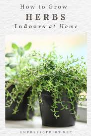 When thinking about how to grow culinary herbs indoors, it is important to consider the amount of space plants require for adequate growth. How To Grow Herbs Indoors Beginner S Guide Empress Of Dirt
