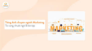 155+ từ vựng tiếng Anh chuyên ngành Marketing cơ bản đến nâng cao