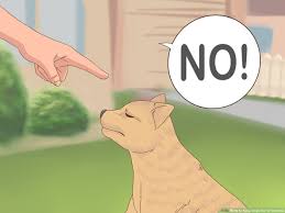 Maybe you would like to learn more about one of these? 3 Ways To Keep Dogs Out Of Gardens Wikihow