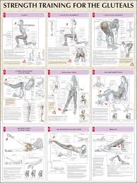 9 Different Butt Workout For Women Anatomy Health And Fitness Hip Strengthening Exercises Butt Workout Fitness