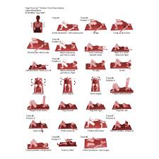 Pin On Lower Back Pain Relief Stretches