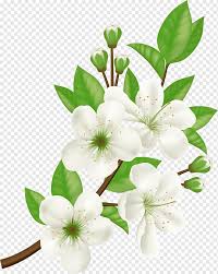 > bunga png images vektor bunga free download free transparent png logos from www.freepnglogos.com to created add 24 pieces, transparent bunga images of your project files with the background cleaned. Bunga Petaled Putih Computer Icons Flower Bunga Putih Yang Dilukis Dengan Tangan Lukisan Cat Air Merangkai Bunga Putih Png Pngwing