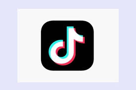 Check out the reviews and decide for yourself. Tiktok In India Will Bantiktokinindia Stop Marketers From Advertising On Tiktok The Financial Express