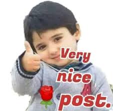 Benedetta Caretta added a new photo.