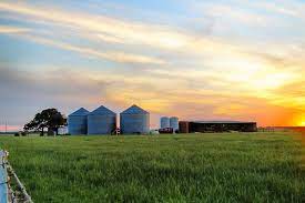 We offer you a great deal of unbiased information from the internal database get comprehensive information on the number of employees at texas farm bureau insurance companies from 1992 to 2019. Texas Farm Bureau Linkedin
