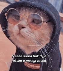 Dilara Adli Kullanicinin Dilara Panosundaki Pin 2020 Komik Cocuklar Komik Komik Seyler