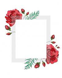 Moldura Quadrada De Flores Rosas Vermelhas Flor Com Moldura Transparente Branca Quadrada Para Texto Veto Molduras De Quadros Molduras Vermelhas Rosas Vermelhas