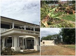 Gibb berufsfachschule bern lorrainestrasse 1 3000 bern. Ipoh Echo Iconic Rain Tree Felled