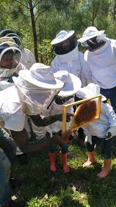 Daily Inspiration: Meet William Crumpler II