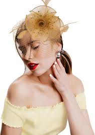 Kidukso Feather Mesh Flower Fascinator Hat Bridal Yarn Hairband, Organza  Headdress Cocktail Wedding Ceremonies, Black at Amazon Women's Clothing  store