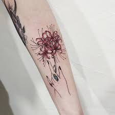 Spider lilly red spider lily tattoo shea tattoo radiata flower ngạn. Facebook