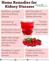 Some Of The Home Remedies For Kidney Disease Include Reducing The Amount Of Salt In Your Diet Eating Less Pota Renal Diet Recipes Kidney Health Kidney Recipes