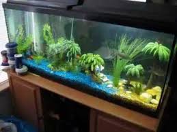It was easy to create, says lauren rawlins, the tank's owner who lives in washington, d.c. Girl Fish Tank Decorations Novocom Top