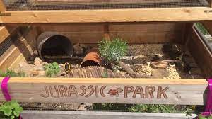 Das Gehege Meiner Griechischen Landschildkroten Youtube