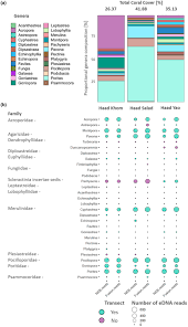 An environmental DNA metabarcoding approach versus a visual survey for  reefs of Koh Pha‐ngan in Thailand
