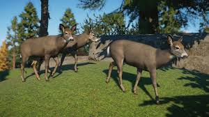 Image result for Beige Antelope 1983 Fleet