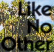 Trailing through the city